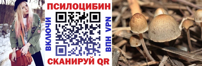 Галлюциногенные грибы Magic Shrooms площадка телеграм Лакинск